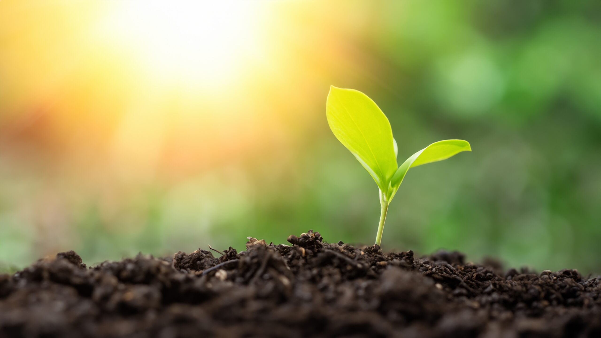 When the Season Changes, So Do You: Why You Feel “Off” and What to Do About It
